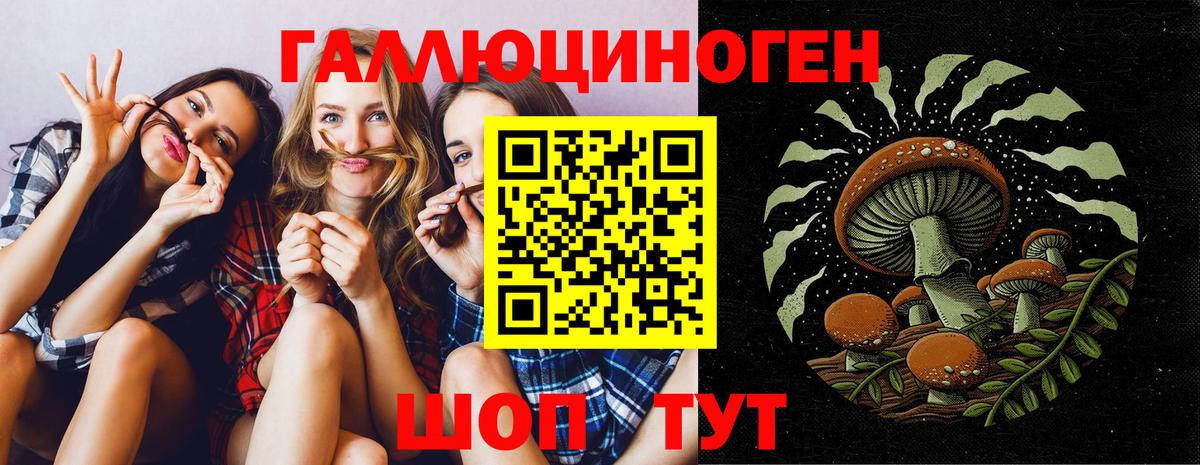 Псилоцибиновые грибы Psilocybe  Вход с VPN  Михайловка 