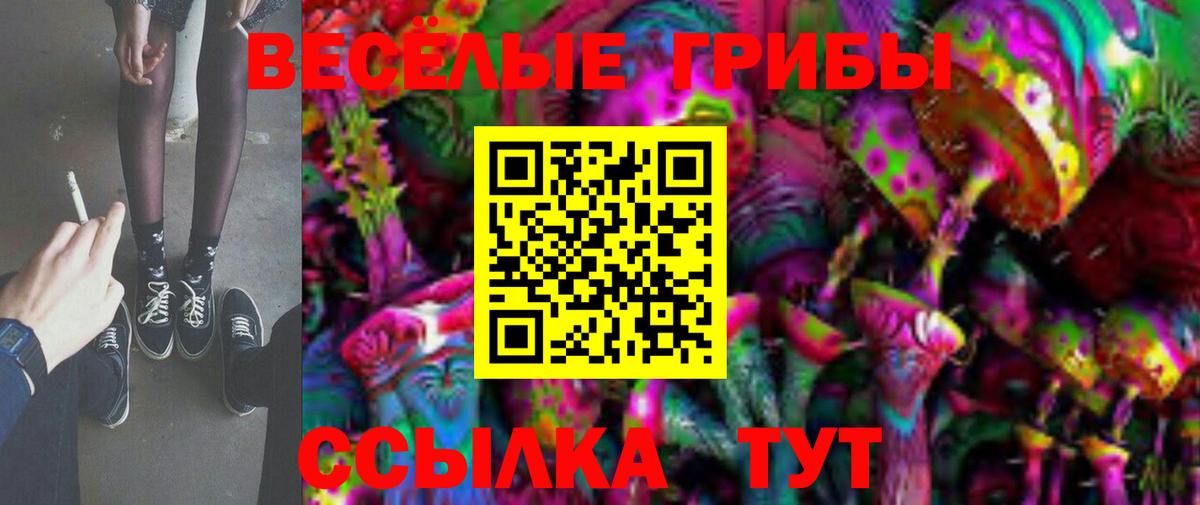 Псилоцибиновые грибы мицелий Михайловка